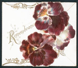 Pansies, Remembrance