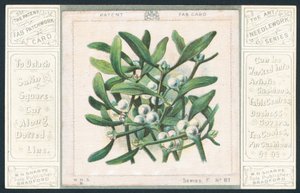 Patchwork Mistletoe by English School