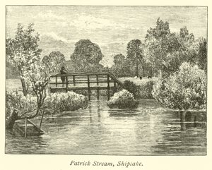 Patrick Stream, Shiplake