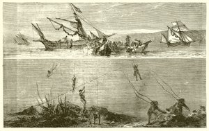 Pearl Fishing by English School