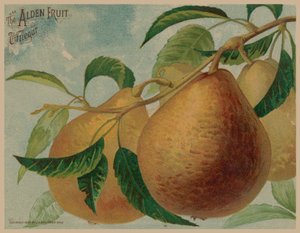 Pears