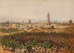 Places Mentioned in the Bible: Gaza, The Old Town