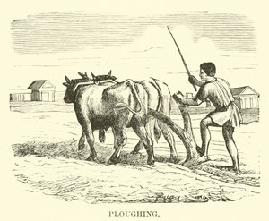 Ploughing by English School