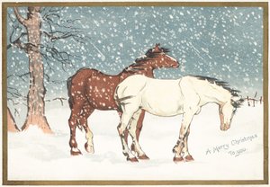 Ponies in the Snow
