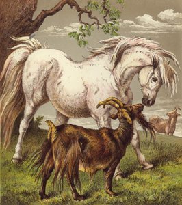 Pony and goats by English School
