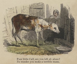 Poor little Calf, are you left all alone? No wonder you make a terrible moan by English School