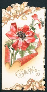 Poppy with Acorns