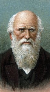 Portrait of Charles Robert Darwin (1809-1882) (from series 