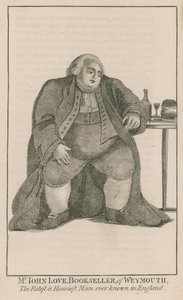 Portrait of Mr. John Love by English School