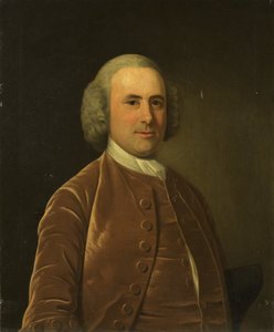 Portrait of a Man in a Brown Coat and Waistcoat