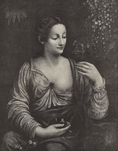 Portrait of a Young Lady by English School