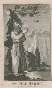 Portrait of the Bird Hermit of Montserrat by English School