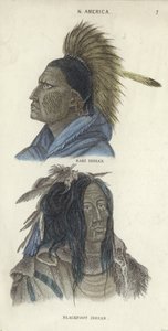 Portraits of a Saki Indian and a Blackfoot Indian