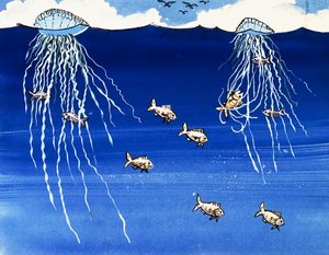 Portuguese Man-of-War