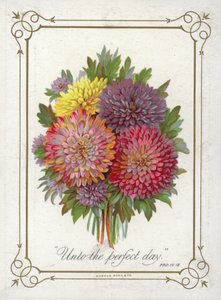 Posy of Flowers