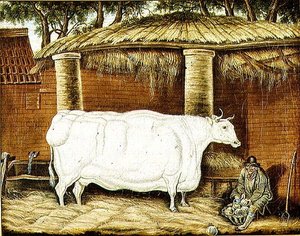 Primitive Ox by English School