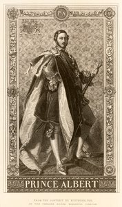 Prince Albert by English School