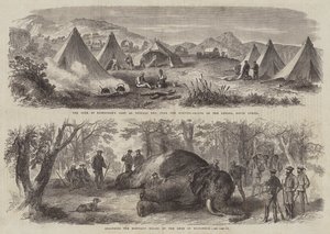 Prince Arthur in South Africa