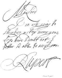 Prince Rupert by English School