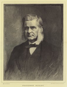 Professor Huxley by English School