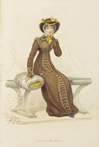 Promenade dress, fashion plate from Ackermann