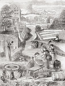 Public washing grounds by English School