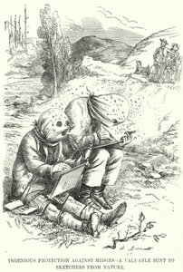 Ingenious Protection Against Midges - A Valuable Hint to Sketchers from Nature