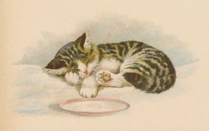 Pussy Cat by English School