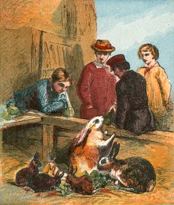 Rabbits by English School