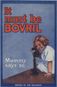 Rear Cover of the Bovril Handy Book and Diary of the War