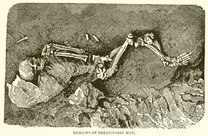 Remains of Prehistoric Man by English School