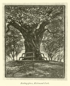 Resting-place, Richmond Park by English School