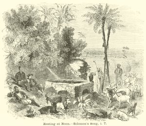Resting at Noon by English School