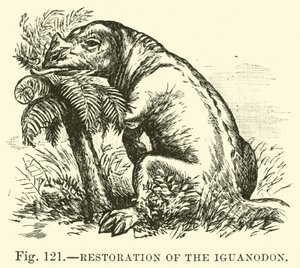 Restoration of the Iguanodon by English School