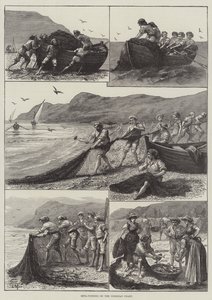Reta-Fishing on the Corsican Coast by English School