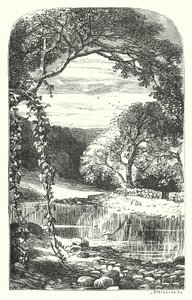 Returning Spring by English School