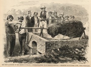 Roasting an Ox Near Lynn by English School