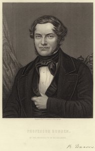Robert Bunsen by English School