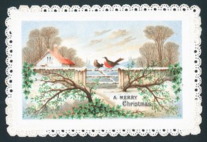 Robins sitting on gate by English School