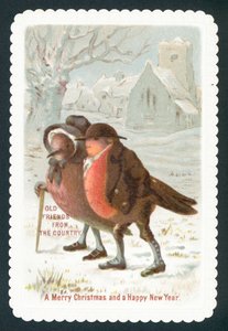 Robins wearing clothes by English School