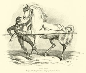 Roman Horse by English School