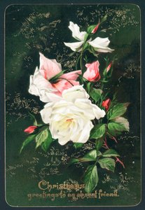 Roses