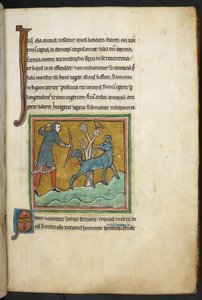 A hunter shooting an arrow at an animal, from Bestiary, Lapidary by English School