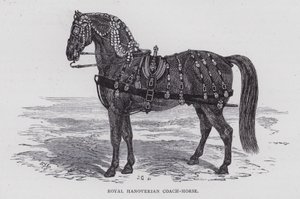 Royal Hanoverian Coach-Horse by English School
