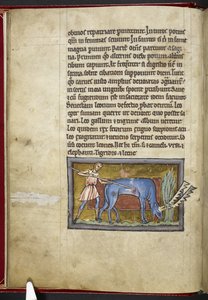 Antelope, from 