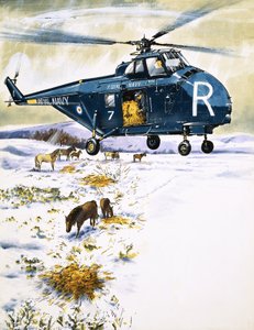 Royal Navy Helicopter Used for Animal Rescue by English School