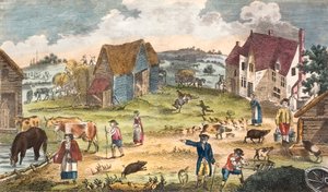 Rustic farmyard scene