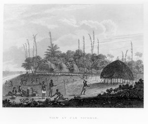 Sailors Collecting Provisions at Car Nicobar, from Voyages and Travels to India, Ceylon, The Red Sea by English School