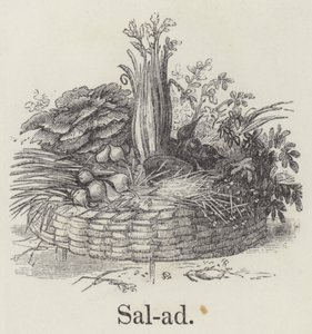 Salad by English School