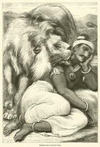 Sandrocottus and the Lion